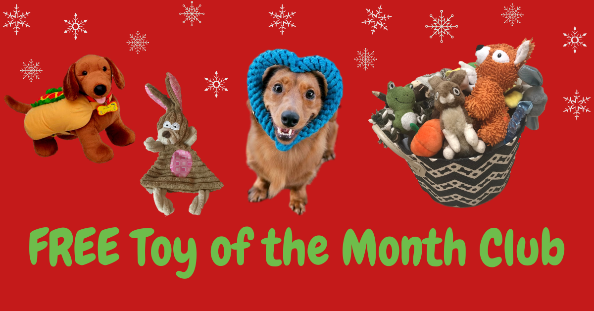 FREE Toy of the Month Club WeenieWarmers