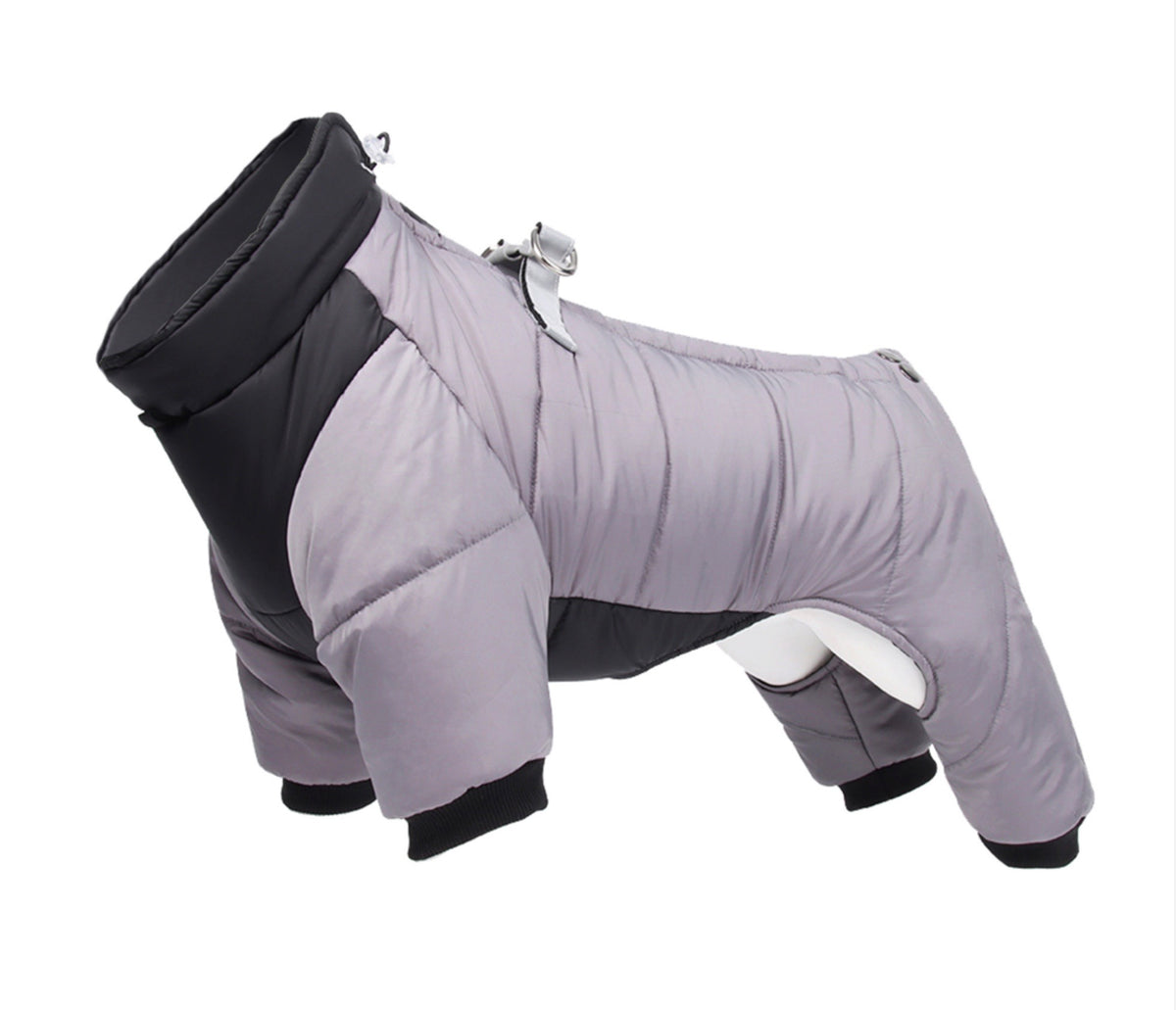 Dachshund snowsuit shop