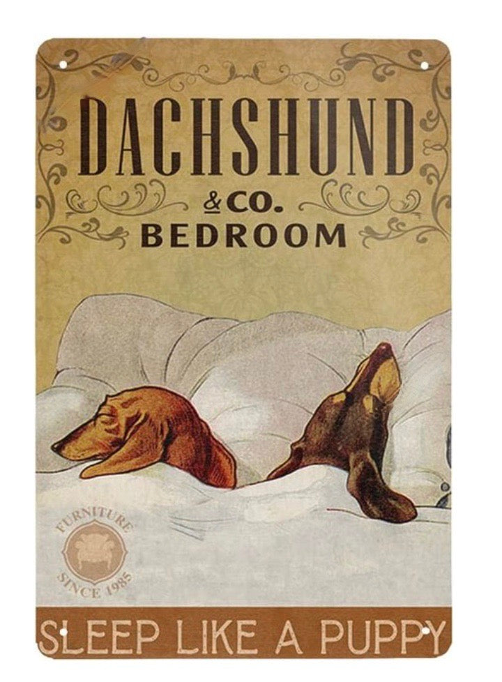 what do dachshund like to sleep on