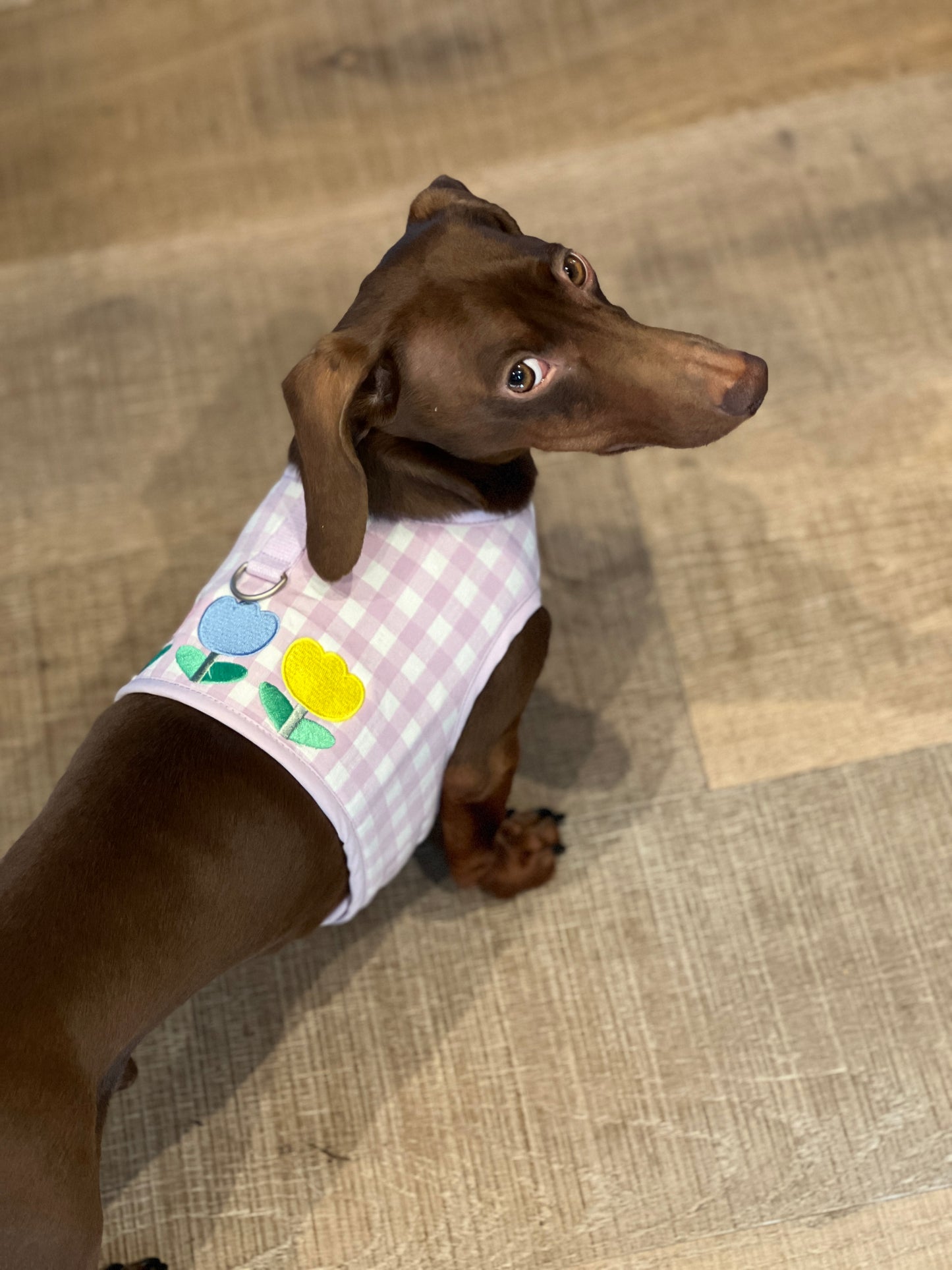 Purple Gingham Tulip Harness