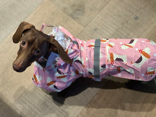 Party Dachshund Rain Poncho