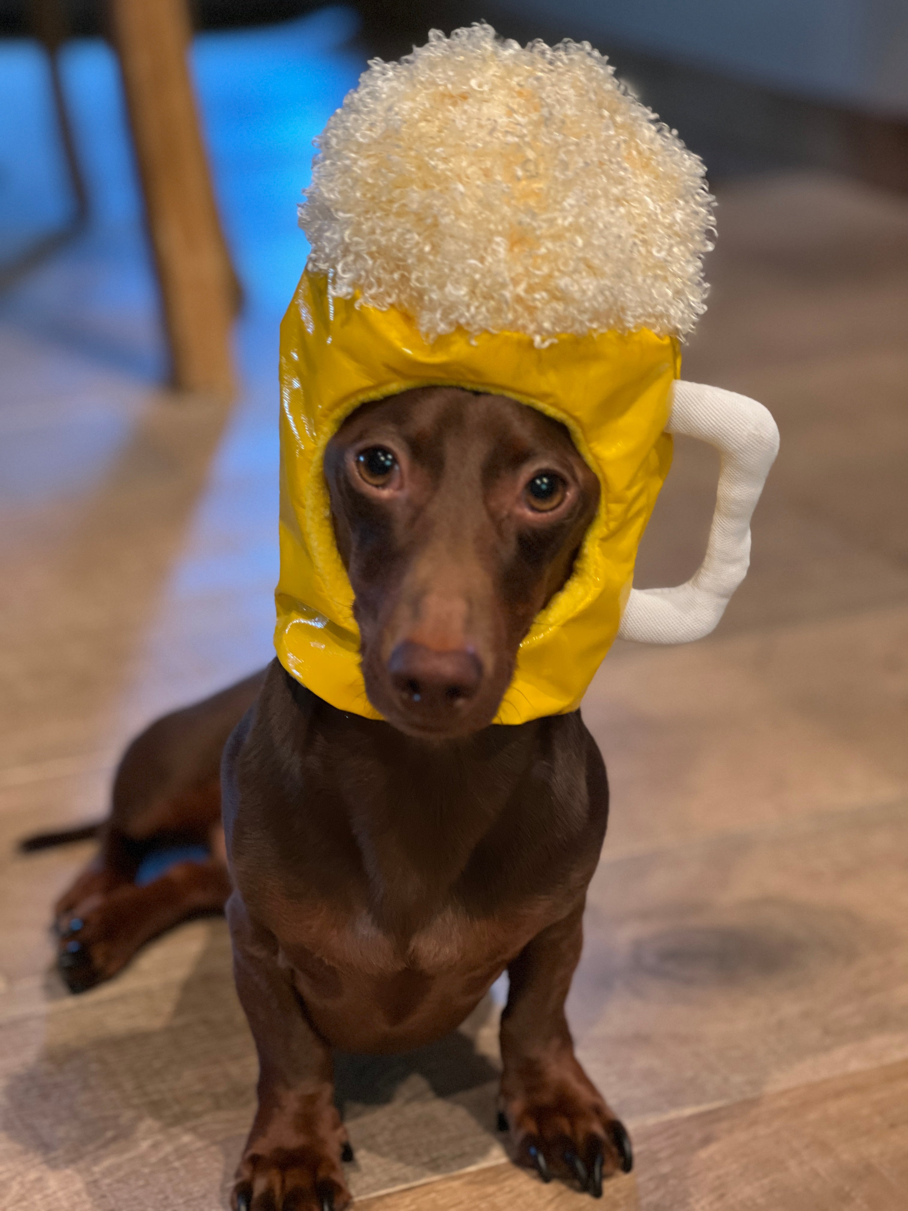 Dachshund winter hats hotsell