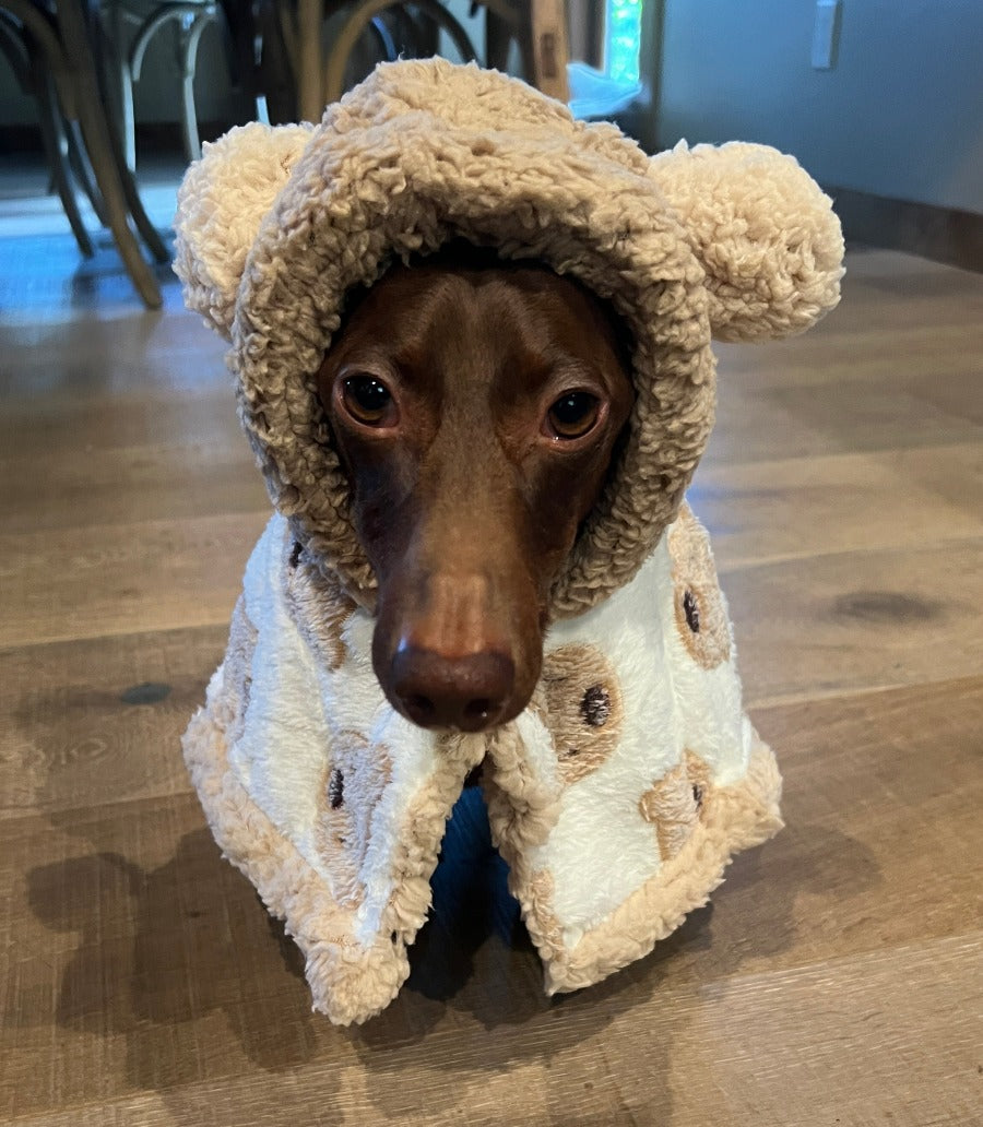 Bear Cozy