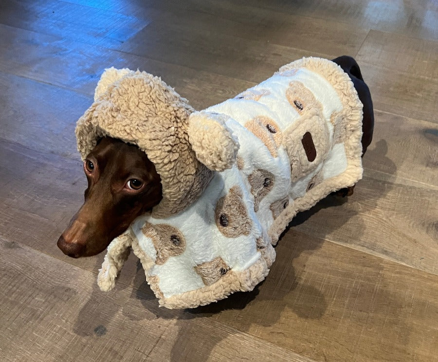 Bear Cozy