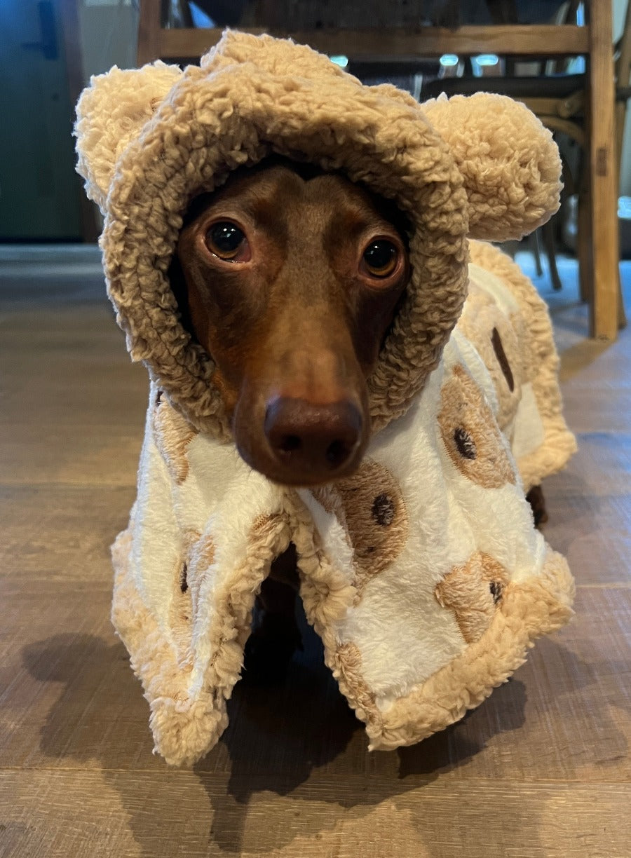 Bear Cozy