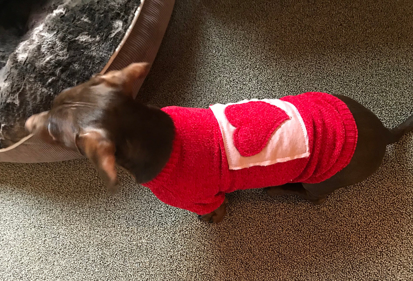 Red Heart Sweater