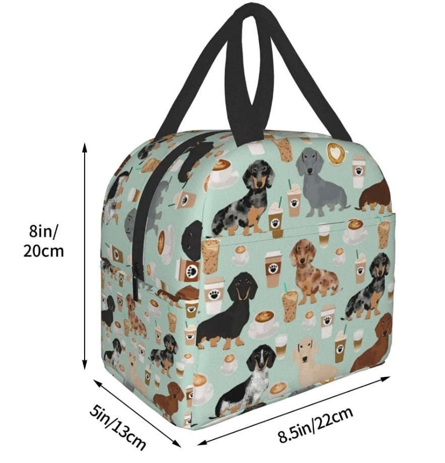 Student Dachshund Insulated Lunch Bag