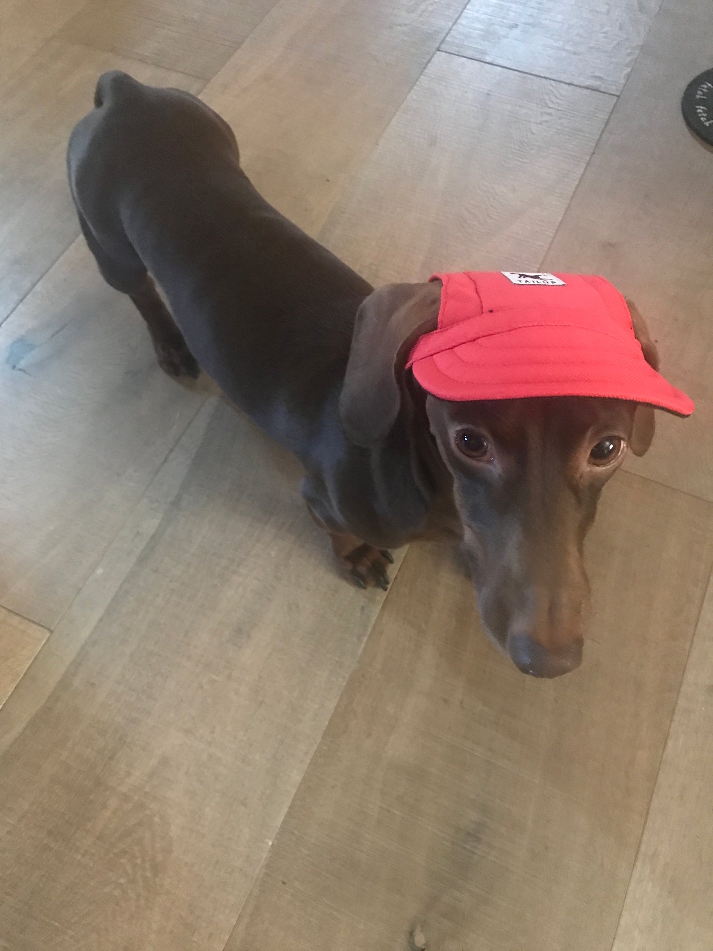 Summer Sun Hat