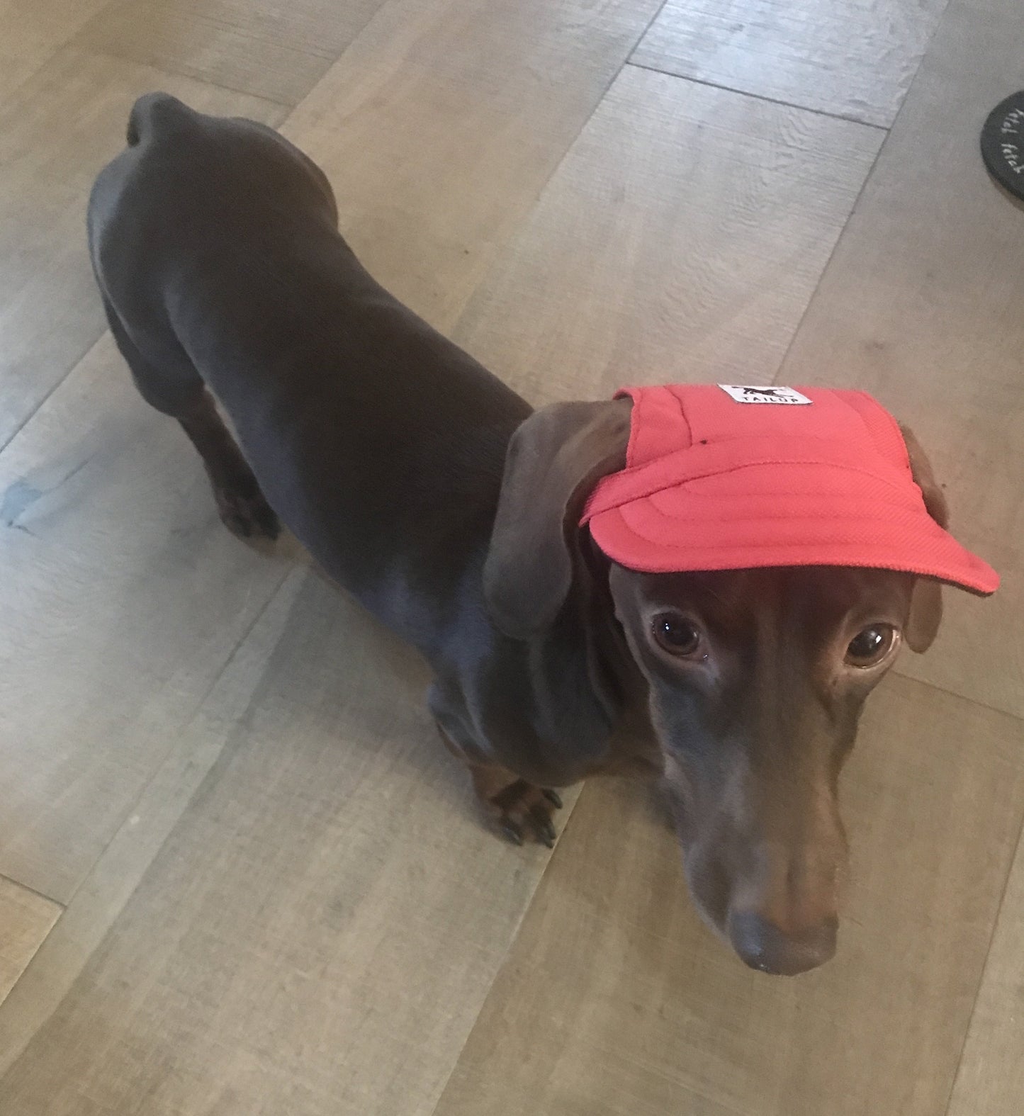 Summer Sun Hat