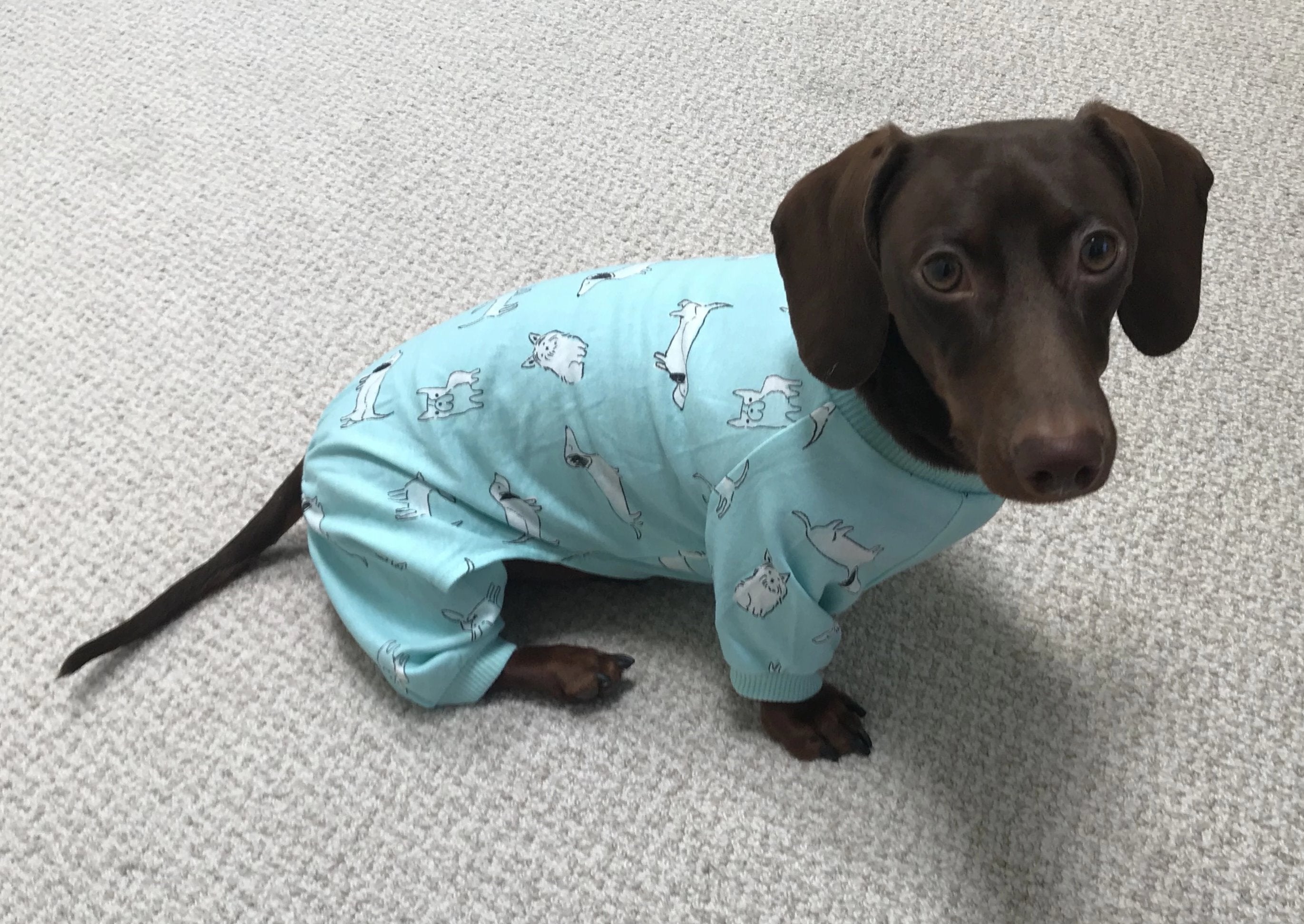 Jammies WeenieWarmers