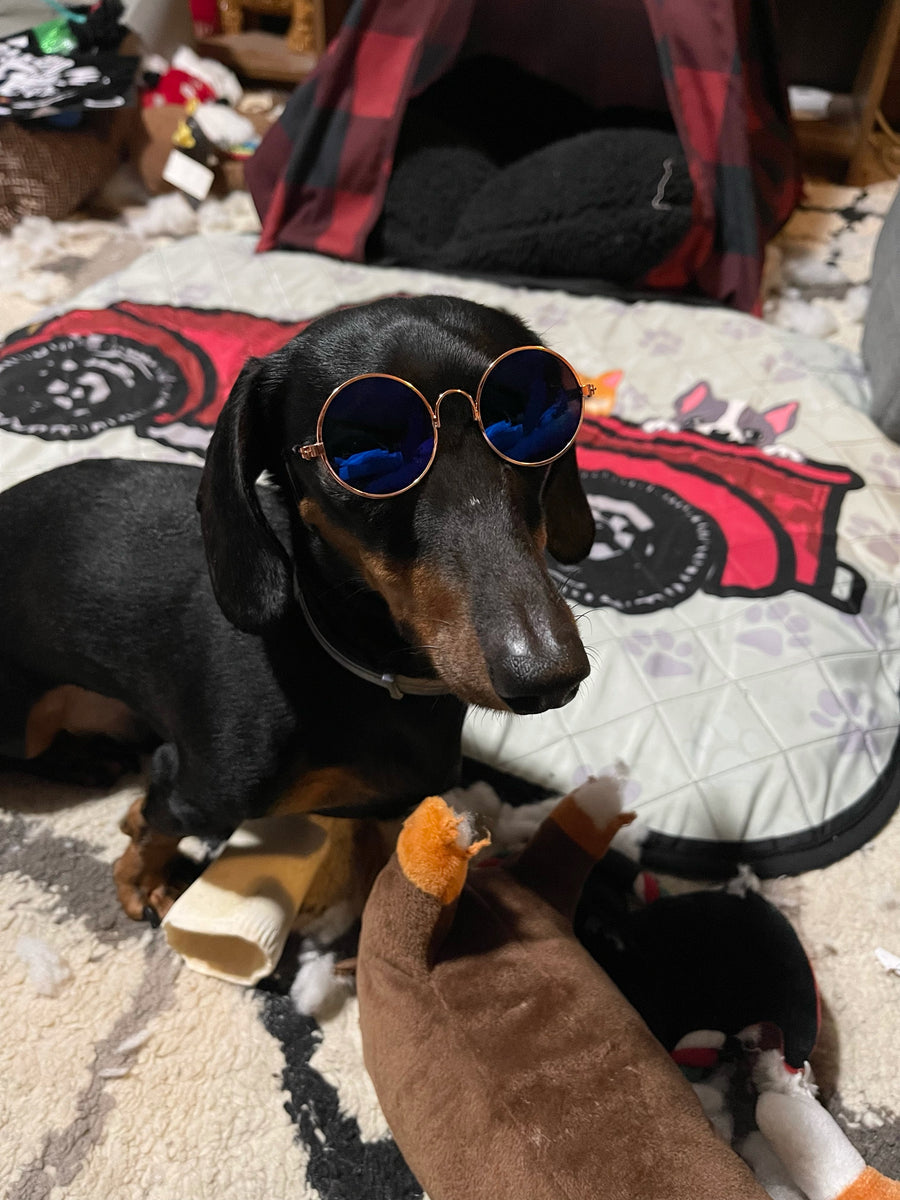 Cool Shades – WeenieWarmers