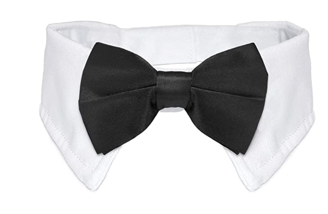 Tuxedo Collar