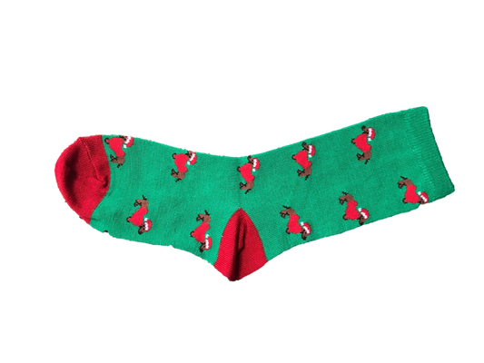 Kid's Green Santa Dachshund Socks