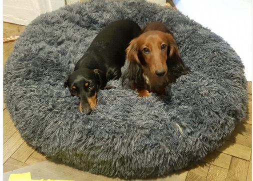 The POOF! Calming Dog Bed