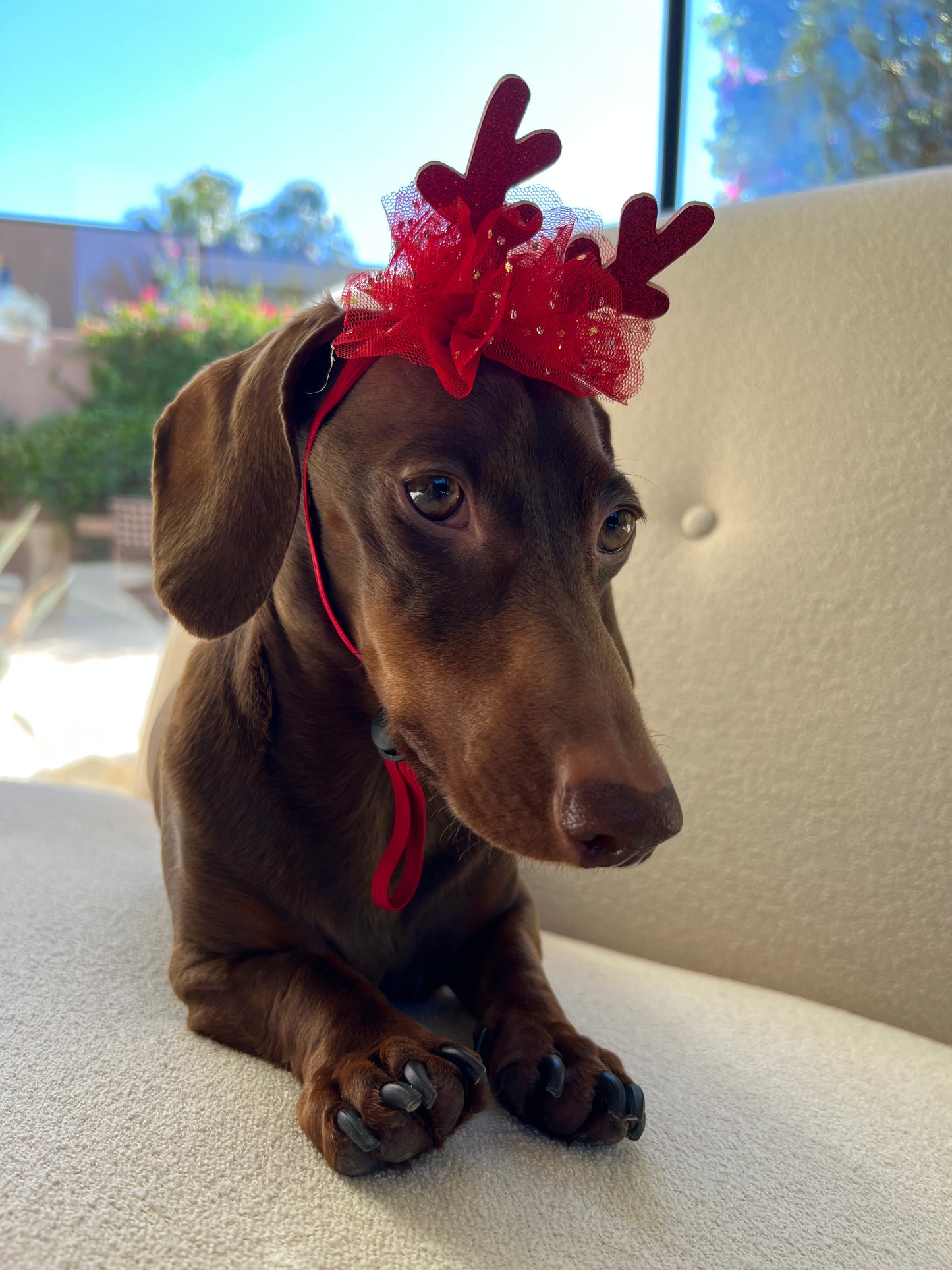 Festive Holiday Reindeer Hat