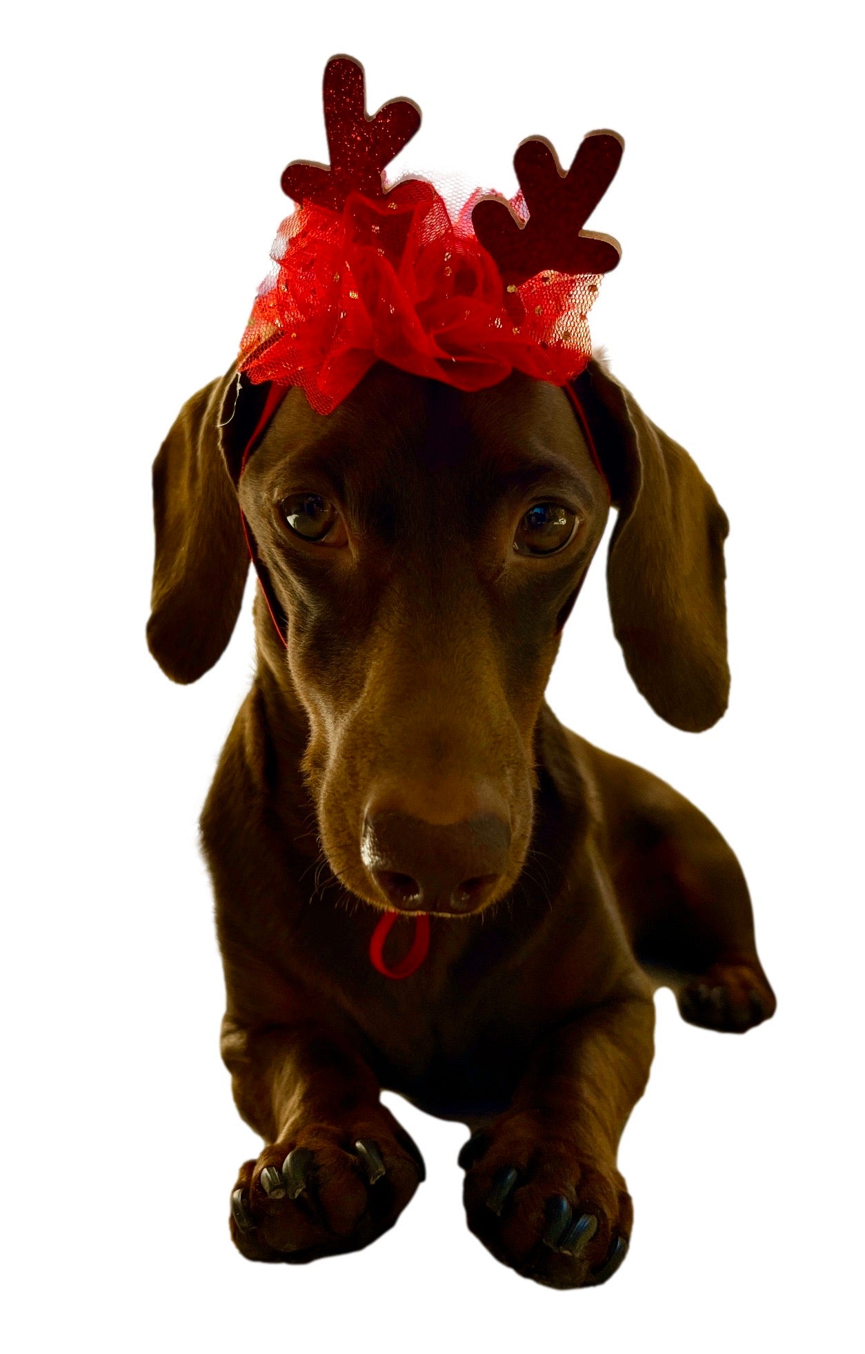 Festive Holiday Reindeer Hat