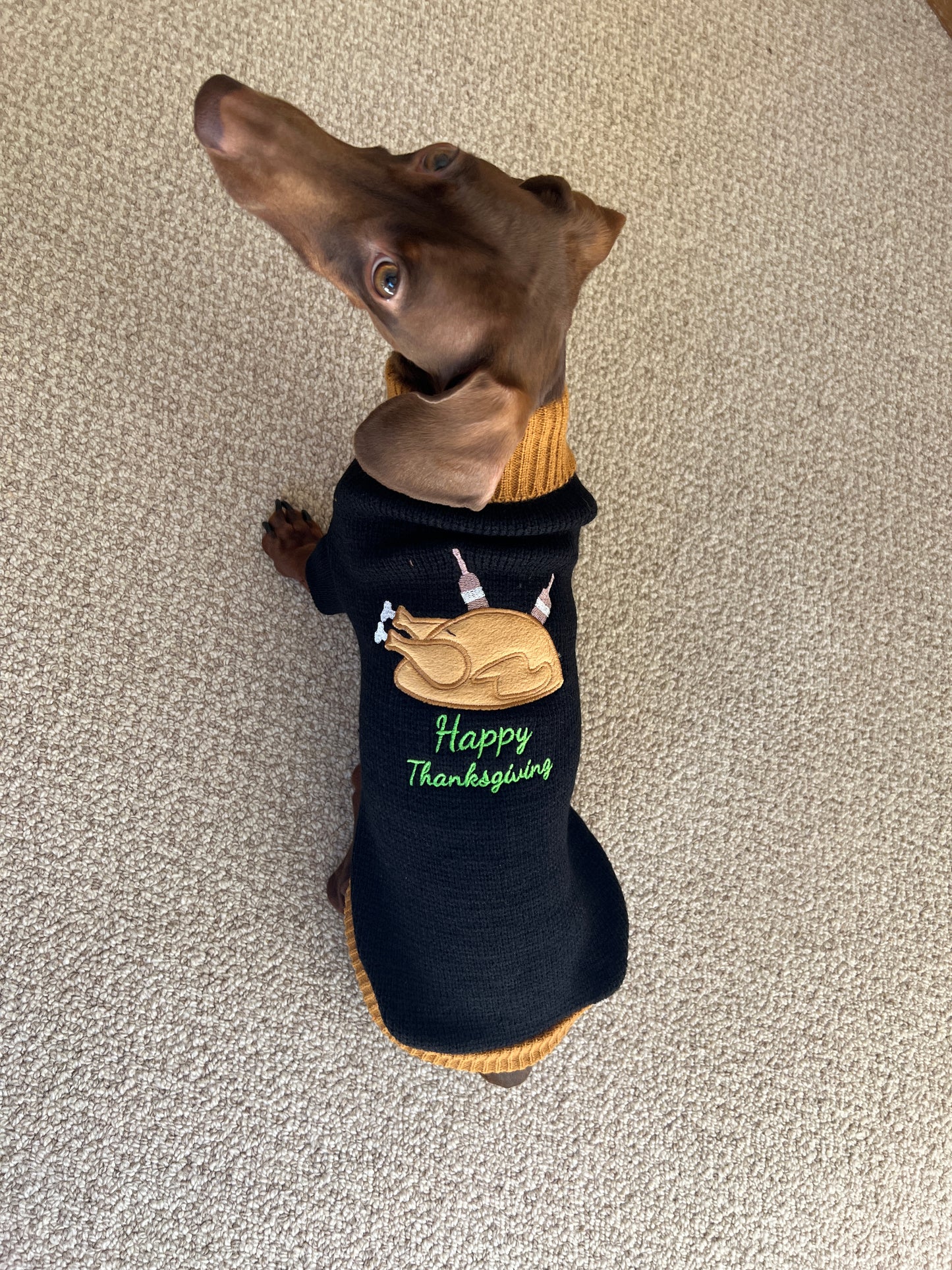 Thanksgiving Turkey Dog Sweater