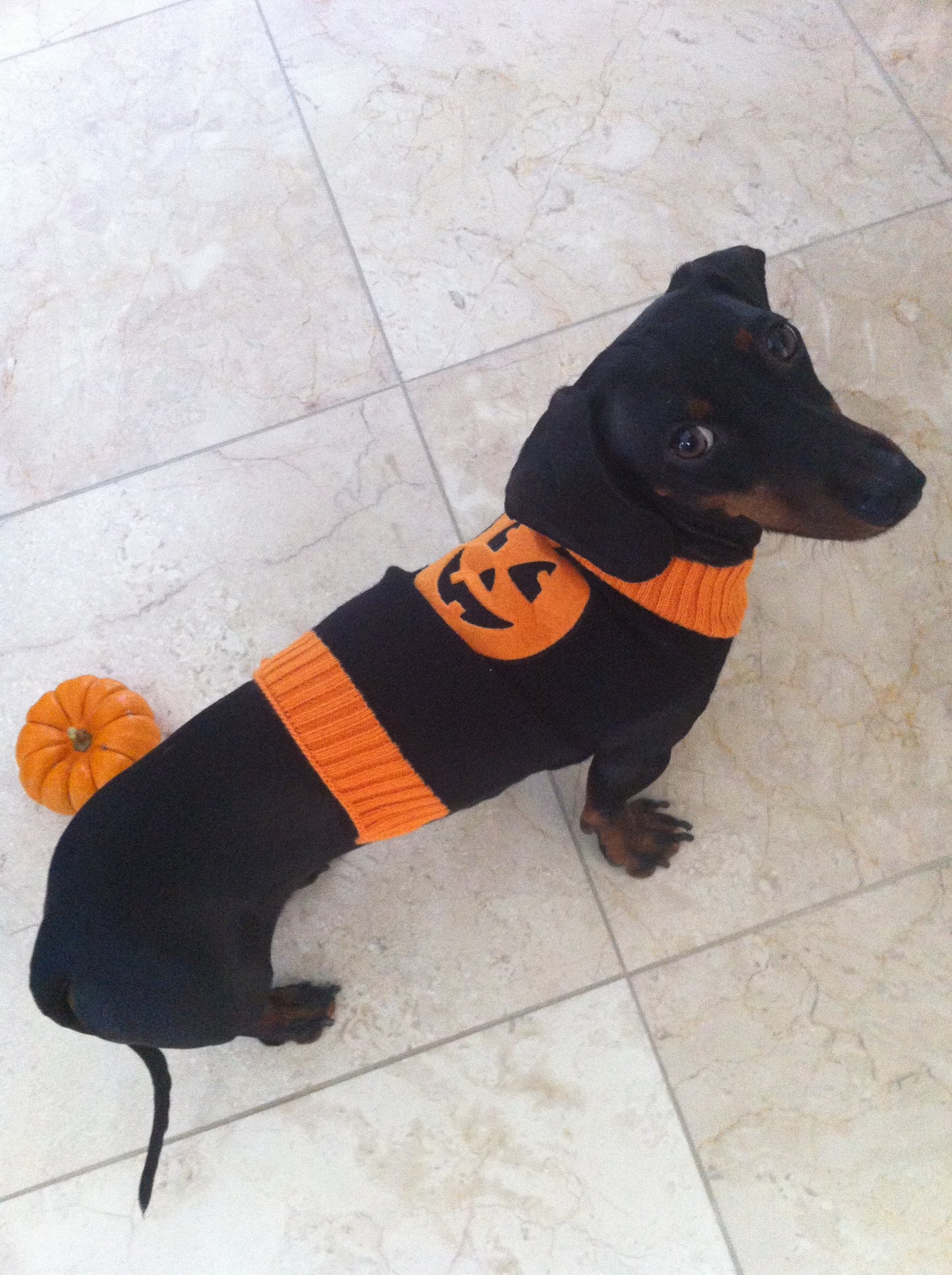 Pumpkin Sweater